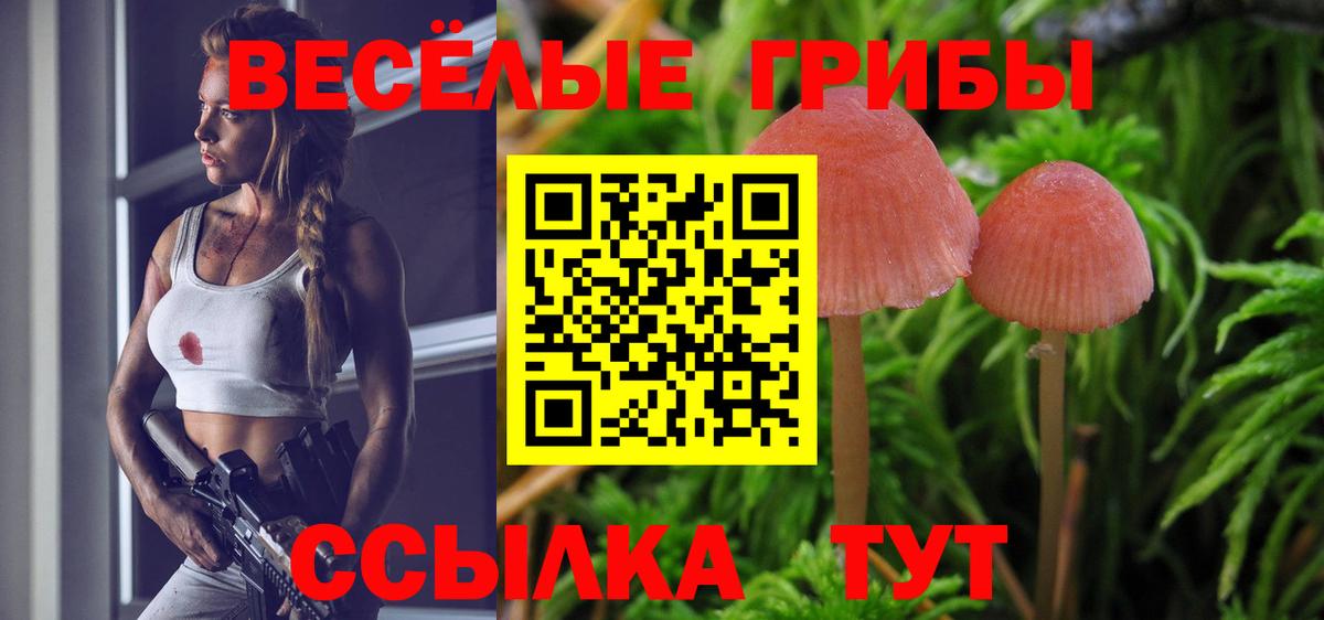 Псилоцибиновые грибы мухоморы  Вход с VPN  Кимовск  Псилоцибиновые грибы мухоморы 