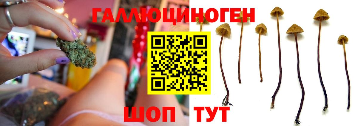 Галлюциногенные грибы GOLDEN TEACHER Кимовск